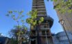 Avance de obra - Torre Capri - Diciembre 2022 (3)